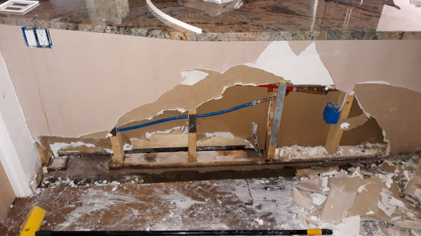 Best Flooded house restoration  in Savoy, IL