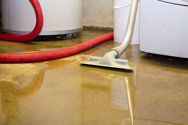  Savoy, IL Water damage restoration Pros