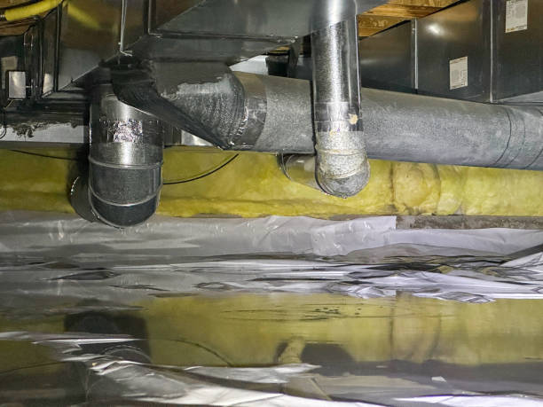Best Fire Damage Restoration  in Savoy, IL