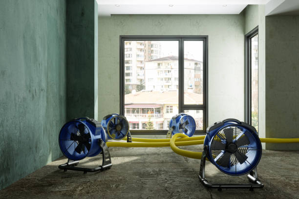 Best 24-hour water damage restoration  in Savoy, IL